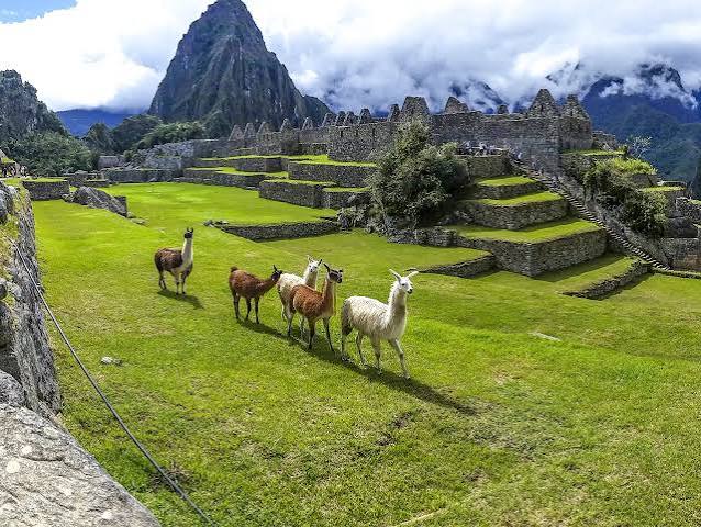 Foto del tour